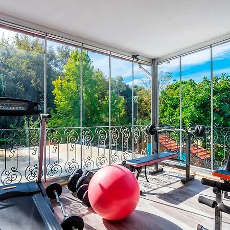 Cozy *