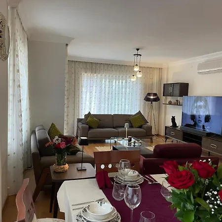 Cozy Vilă